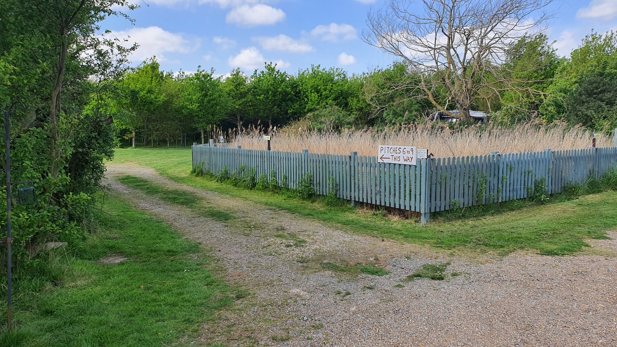 Entrance to new site